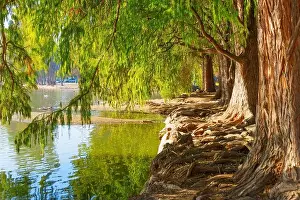 Reflection Lake Prints: Tranquil scene by the river in Riverside