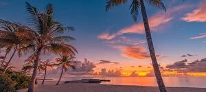 Images Dated 3rd November 2019: Tranquil summer vacation or holiday landscape. Tropical sunset beach landscape view with palm
