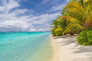 Seychelles Prints: Tranquil tropical beach scene. Palm trees and tropical beach landscape and blue sea
