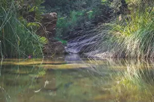 Stone Stream Prints: Transparent Cirat river at Province of Castellon in Spain amid the grasses and rocks