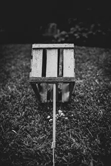 Bait Prints: A trap made with a wooden box and a rope tied to a stick in a garden