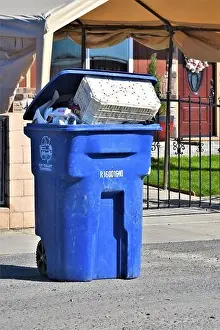 Refuse Prints: Trash and cans and dumpster for pickup by recycling and disposal company to take to landfill for value of items in cans