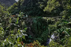 Carribean Prints: Travel arond jamaica, wild nature and local life and landscape