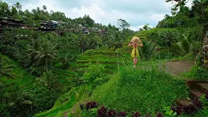 Nomadic Prints: Travel woman in rice paddy with hat explores lush green rice terraces walking in agriculture landscape