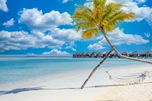 Traveling outdoor recreational leisure beach scenery with hammock over amazingly calm ocean lagoon. Amazing paradise island shore, coast palm trees