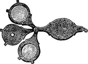 Usage Prints: This treatise offers practical guidance on using microscopes for examining various biological and mineral structures