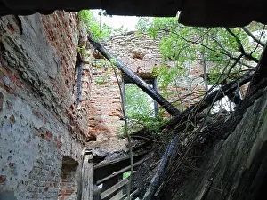 Bunker Prints: A tree branch is hanging from the ceiling of a building