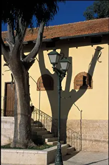 Lamps Prints: tree house shadow