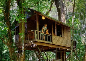 Asians Prints: TREE HOUSES are the specialty of OUR JUNGLE HOUSE a lodge near KHAO SOK NATIONAL PARK - SURATHANI PROVENCE