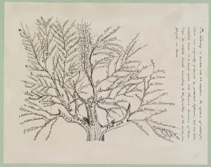 Tools Prints: Tree of library classifications