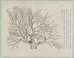 Reportage Prints: Tree of library classifications