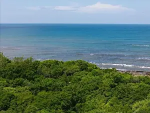 Travel Background Prints: Tree nature on blue sea and sky background on bright sunny day