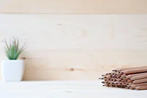 Multi Colored Prints: Tree trunk pencils