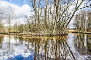 Brook Prints: Trees and bushes growing in a bend in the river Dommel near Valkenswaard