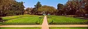 South Carolina Prints: Trees in a garden, Middleton Place, Charleston, South Carolina, USA