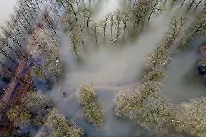 River Bank Prints: Trees surrounded by high water levels in the Ijssel river near Deventer, Holland