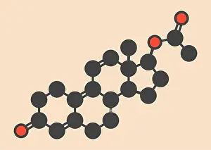 Bodybuilder Prints: Trenbolone acetate cattle growth promoter