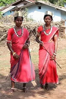 Tribal woman dancers in traditional outfits. Bison Horn Maria tribe, Datalpara, Gamawada, Chattisgadh, India