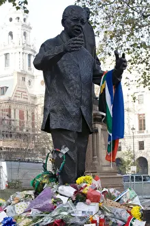 Bunch Of Flowers Prints: Tributes to Nelson Mandela