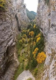 Trigrad gorge of a vertical marble rocks in the Rhodope mountains at autumn