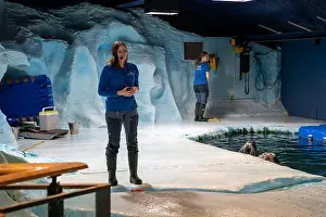 Nordic Countries Prints: Tromso, Norway - 07.04.2024: Seal show in Polaria aquarium in Tromso, Norway