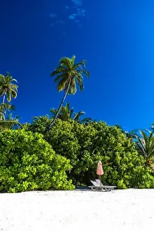 Tropical beach background. Exotic travel destination