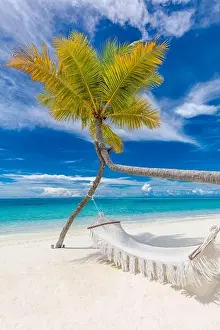 Seychelles Prints: Tropical beach background as luxury summer landscape with beach swing or hammock and white sand and calm sea for beach