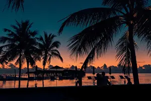 Tropical beach background with palm trees silhouette at sunset. Vintage effect