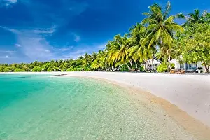 Summer Landscape Prints: Tropical beach background as summer landscape with beach swing or hammock and white sand and calm sea for beach banner