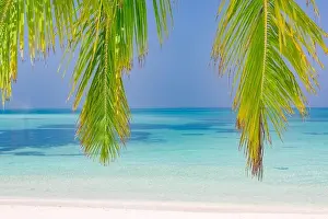 Tropical beach background as summer landscape with seascape palm trees leaves and calm sea for beach banner. Tranquil beach scene, vacation holiday