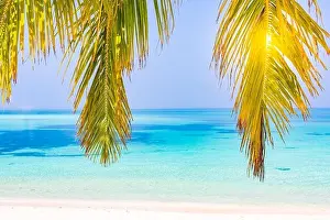 Tropical beach background as summer landscape with seascape palm trees leaves and calm sea for beach banner. Tranquil beach scene, vacation holiday