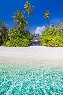 Seychelles Prints: Tropical beach background as summer landscape with white sand and coco palm trees close to calm sea for beach banner