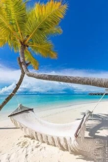Images Dated 31st October 2019: Tropical beach background as summer relax landscape with beach swing or hammock and white sand