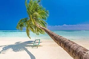 Images Dated 16th January 2017: Tropical beach background as summer relax landscape with beach swing or hammock and white sand