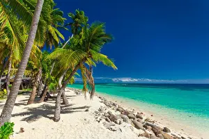 Beachfront Prints: Tropical beach with coconut palm trees and clear lagoon on Fiji Islands