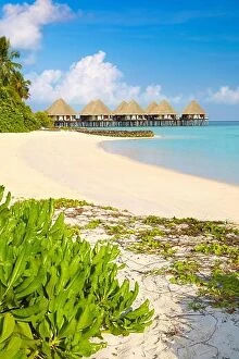 Images Dated 21st February 2014: Tropical beach, Maldives Island, Ari Atoll