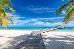 Images Dated 2nd June 2019: Tropical beach, Maldives. Jetty pathway into tranquil paradise island