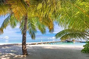 Tropical beach, Maldives. Jetty pathway into tranquil paradise island. Palm trees, white sand and blue sea, perfect summer vacation landscape holiday