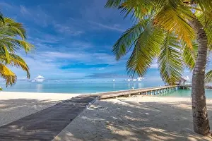 Tropical beach, Maldives. Jetty pathway into tranquil paradise island. Palm trees, white sand and blue sea, perfect summer vacation landscape holiday