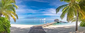 Tropical beach, Maldives. Jetty pathway into tranquil paradise island. Palm trees, white sand and blue sea, perfect summer vacation landscape holiday