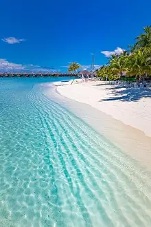 Tropical beach, Maldives. tranquil paradise island. Palm trees, white sand and blue sea, perfect summer vacation landscape or holiday tourism banner