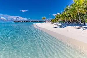 Tropical beach, Maldives. tranquil paradise island. Palm trees, white sand and blue sea, perfect summer vacation landscape or holiday tourism banner