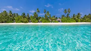 Tropical beach, Maldives. tranquil paradise island. Palm trees, white sand and blue sea, perfect summer vacation landscape or holiday travel banner
