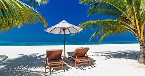 Images Dated 5th January 2017: Tropical beach nature as summer landscape with lounge chairs and palm trees