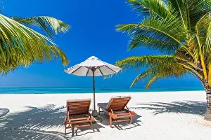 Tropical beach nature as summer landscape with lounge chairs and palm trees and calm sea for beach banner. Luxurious travel vacation holiday landscape
