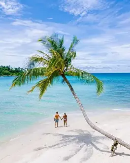 Koh Kood Prints: Tropical beach with palm trees at the Island of Koh Kood Thailand