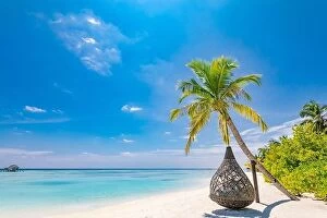 Images Dated 17th December 2018: Tropical beach panorama as summer landscape with beach swing or hammock and white sand