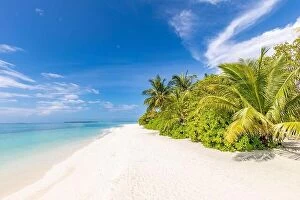 Images Dated 24th May 2019: Tropical beach panorama view, summer landscape, palm trees and white sand