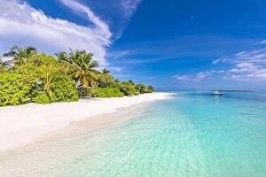 Images Dated 24th May 2019: Tropical beach panorama view, summer landscape, palm trees and white sand