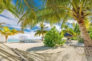 Images Dated 6th May 2018: Tropical beach paradise as summer landscape with beach swing or hammock and white sand